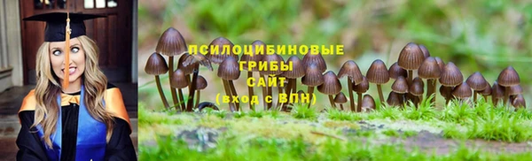 крисы Новодвинск
