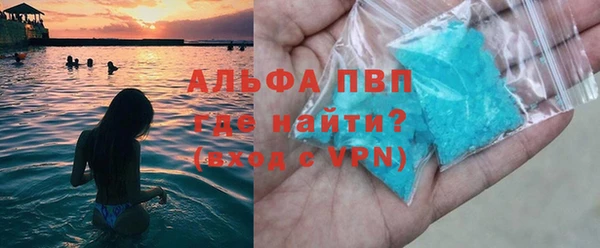 крисы Новодвинск
