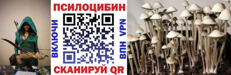 Галлюциногенные грибы Psilocybe  Владикавказ 